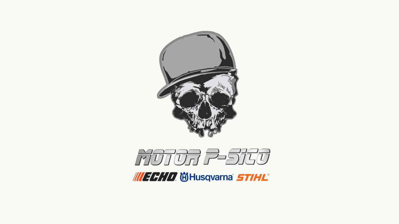 Patrocinador del Congreso