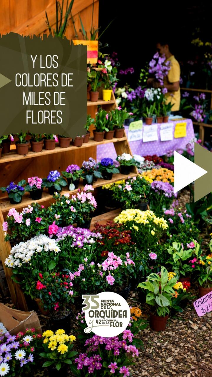 Flores en la Fiesta Nacional de la Orquídea