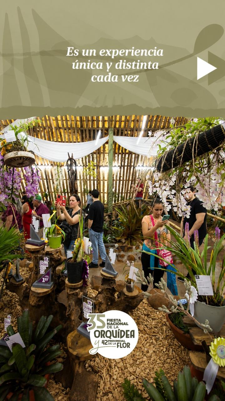 Exposición de orquídeas