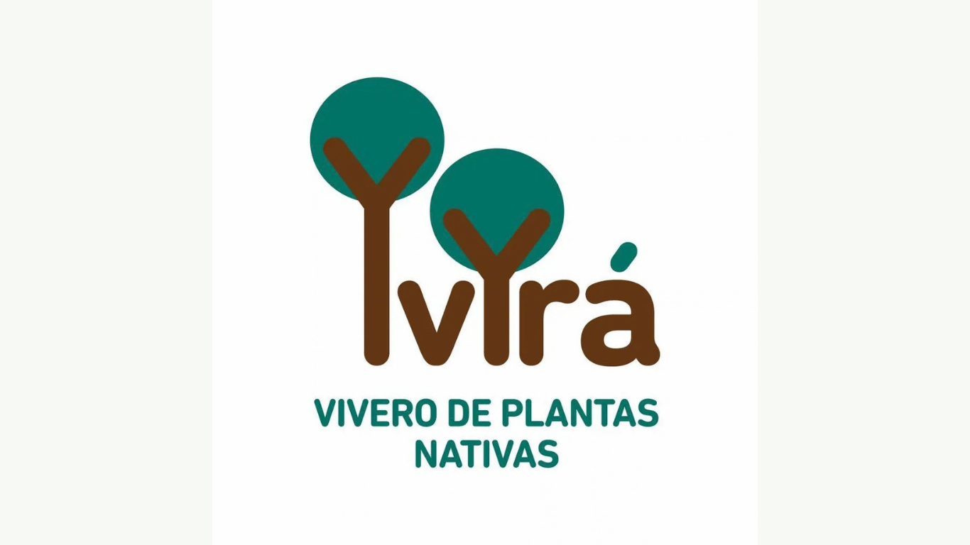 Yvir