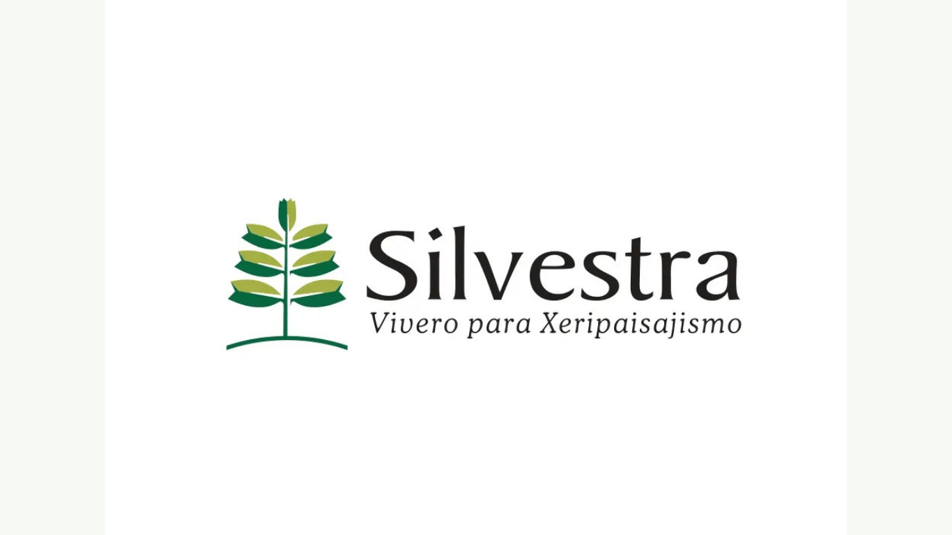 Silvestra