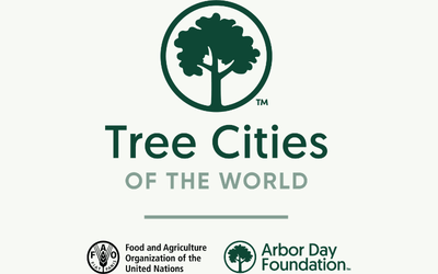 Tree Cities