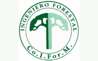 COIFORM - Colegio de Ingenieros Forestales de Misiones